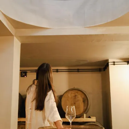 Casa D'albarrois 招待所 4*