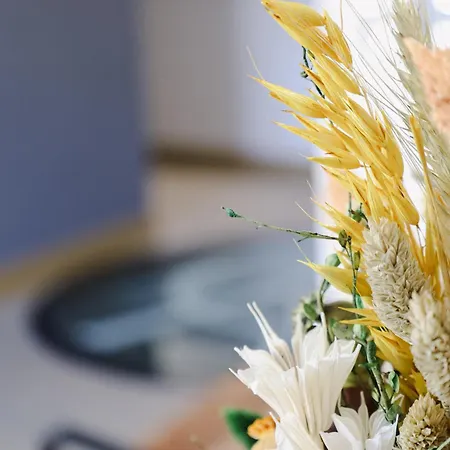 בית הארחה Casa D'albarrois 4*