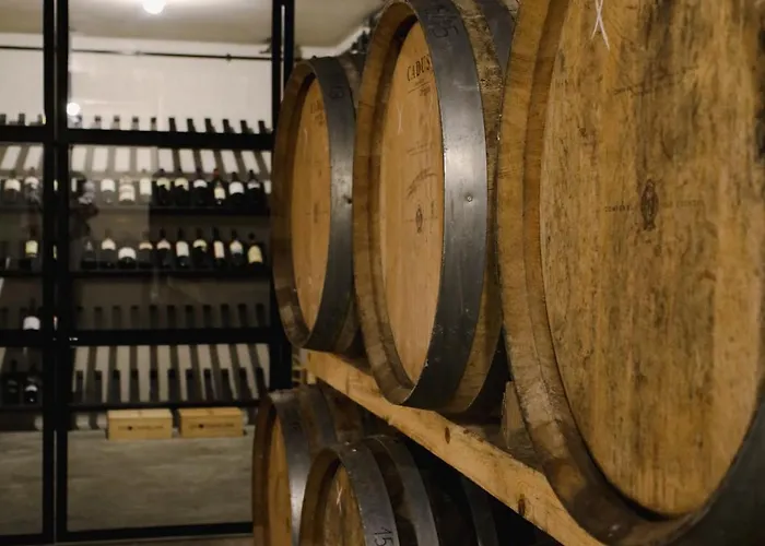 Πανσιόν Casa D'albarrois Alenquer