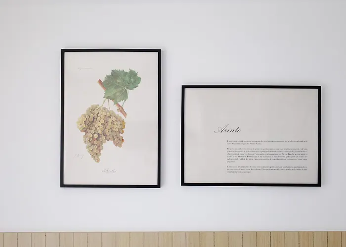 Maison d'hôtes Casa D'albarrois 4*