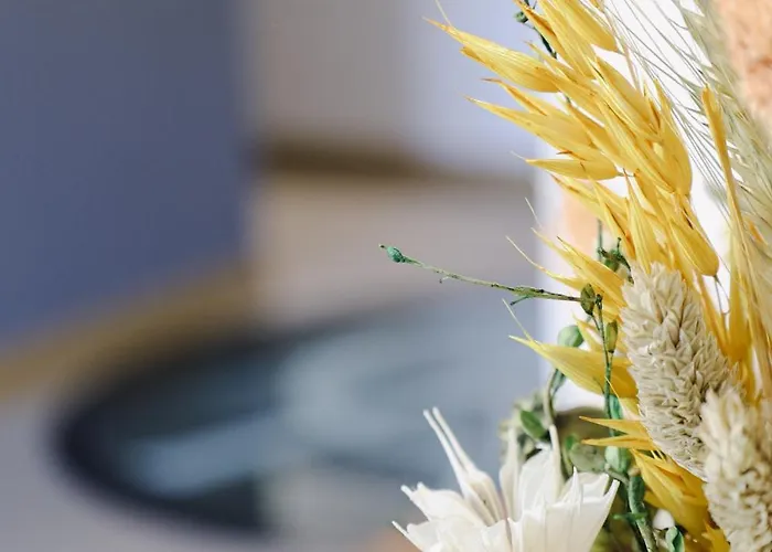 Πανσιόν Casa D'albarrois 4*